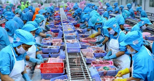 5.300 doanh nghiệp ở ĐBSCL ngừng hoạt động và giải thể