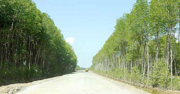 200 hộ dân Long An chưa được trả đền bù liên quan dự án đường Hồ Chí Minh