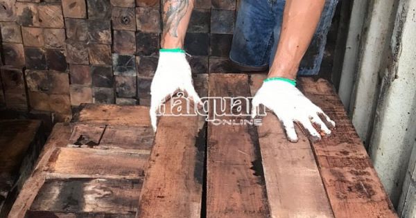 Bắt giữ 60 container gỗ quý nhập lậu trị giá 20 tỷ đồng tại cảng Cát Lái