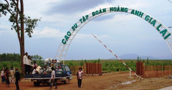 HAGL Agrico bị phạt về thuế hơn 500 triệu, chuyển lỗ 126 tỷ cho kỳ sau