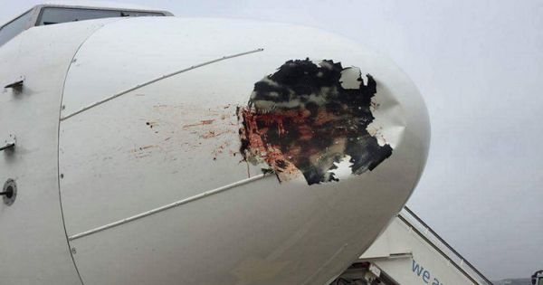 Mối đe dọa tiềm tàng với an ninh hàng không