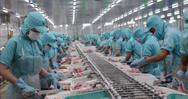 268 doanh nghiệp được công nhận ''Doanh nghiệp xuất khẩu uy tín'' năm 2019