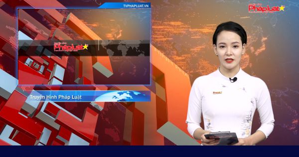 Bản tin Sống Cùng Đại Dịch ngày 25/08/2020