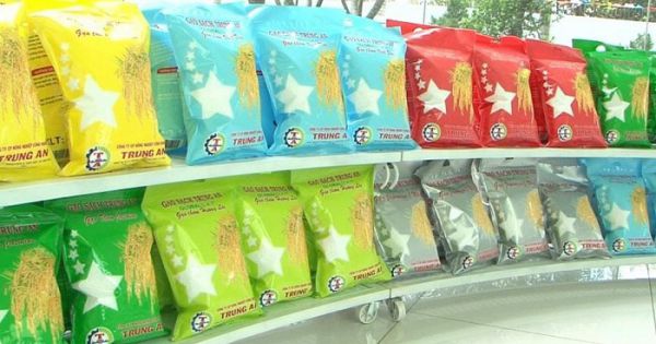 Nhiều DN gạo bước đầu “hưởng lợi” về giá sau khi Hiệp định EVFTA có hiệu lực