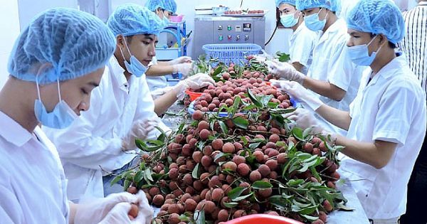 Kim ngạch xuất khẩu tại Bắc Ninh 8 tháng đạt hơn 20 tỷ USD