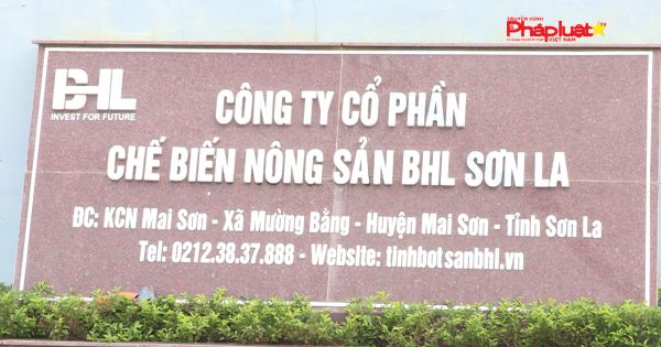 Đảm bảo nguồn nguyên liệu sắn Sơn La: Chính quyền bảo có – Doanh nghiệp bảo không (Kỳ 2)