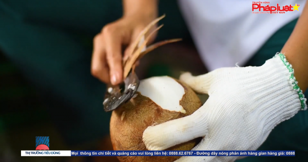 Bản tin thị trường tiêu dùng - Số 69