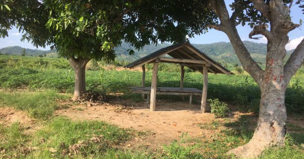 Hai kẻ lạ mặt đâm cán bộ kiểm lâm tại tỉnh Gia Lai