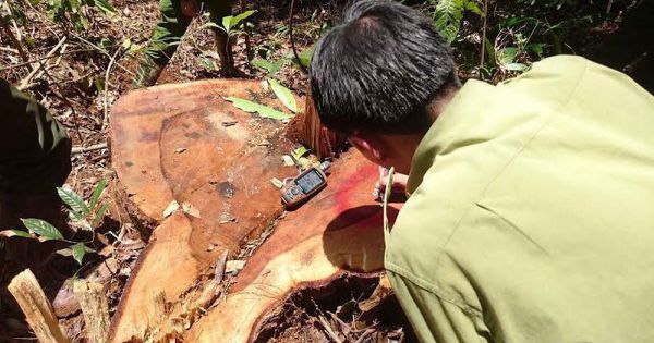 Kỷ luật, thuyên chuyển toàn bộ lãnh đạo một hạt kiểm lâm