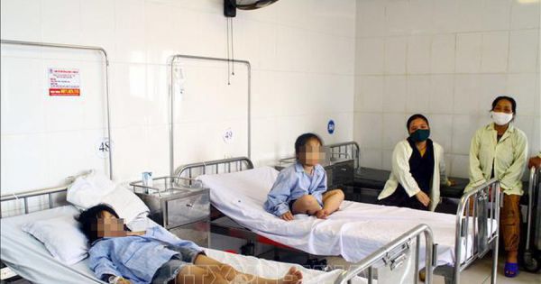 Tất cả những học sinh bị ong đốt đã đi học trở lại