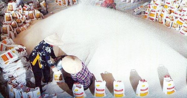 Brazil đưa thuế nhập khẩu gạo về 0% khi giá trong nước bất ngờ tăng mạnh