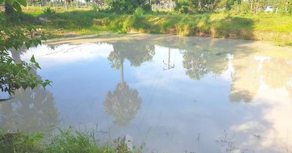 Rủ nhau đi tắm hồ, 5 học sinh chết đuối thương tâm