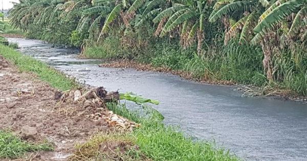 Doanh nghiệp bị phạt 1,3 tỷ đồng vì gây ô nhiễm trong khu công nghiệp lớn nhất Sóc Trăng