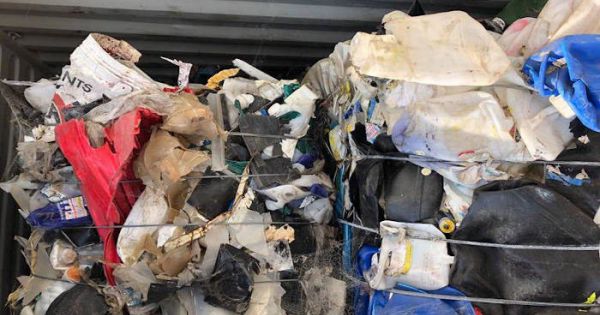 Buộc 30 hãng tàu tái xuất 1.100 container phế liệu ra khỏi Việt Nam