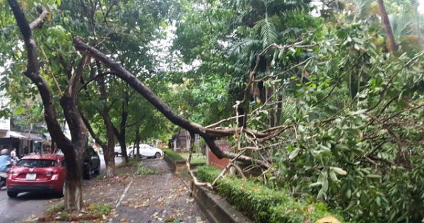 Sau bão, số người bị thương ở TT-Huế tăng gấp 4 lần