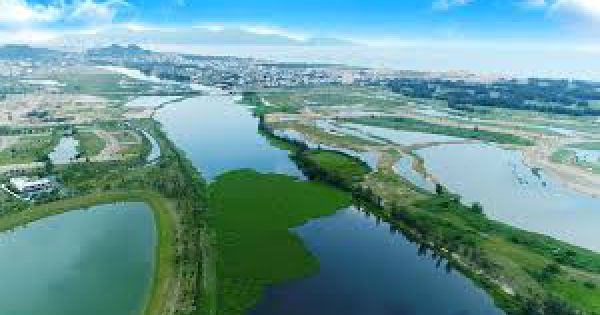 Bùng nổ mô hình 