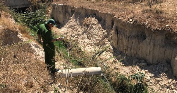 Doanh nghiệp vẫn 