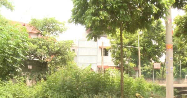 Nghi vấn sai phạm trên đất công, cư dân kiên quyết đề nghị làm rõ
