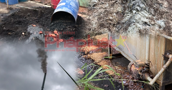 Đồng Nai - Tồn tại điểm đen về môi trường, cơ sở 