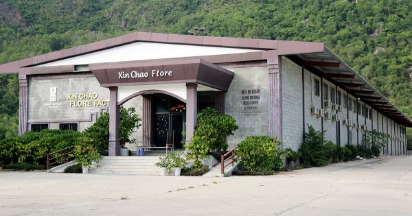 Cưỡng chế tháo dỡ 7 công trình xây dựng trái phép tại TP Nha Trang