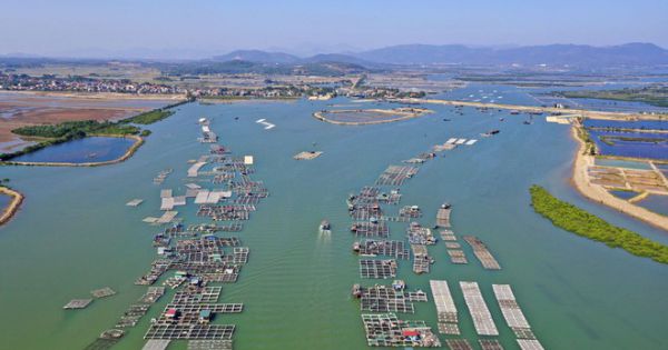 Điều chỉnh, bổ sung Quy hoạch phát triển các khu kinh tế ven biển