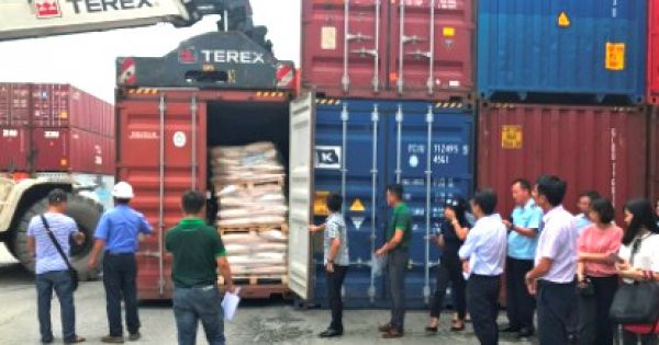 15 hãng tàu biển chấp nhận xử lý container hàng tồn