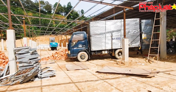 Cát Tiên– Lâm Đồng: Dự án trồng nấm trá hình thành năng lượng mặt trời - Chính quyền làm lơ?