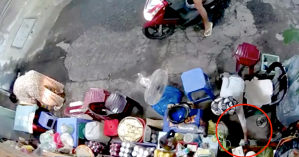 Công an vào cuộc truy bắt người phụ nữ xúi giục con nhỏ trộm túi tiền của bà cụ bán hàng ở vỉa hè