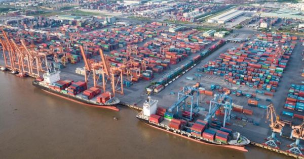 TP Hồ Chí Minh có 266 doanh nghiệp vi phạm về luật hải quan