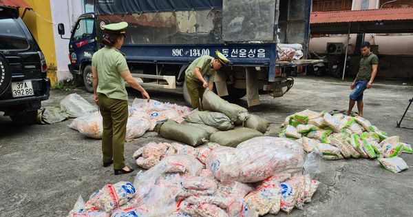 Phát hiện gần 1,2 tấn sủi cảo, chả cá không rõ nguồn gốc tại Hà Giang