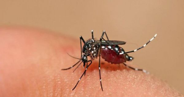 1 người tại Khánh Hòa tử vong do sốt xuất huyết