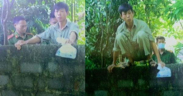 Con rể mua thuốc diệt cỏ đổ xuống giếng để 