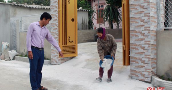 Cơ quan chức năng Hà Tĩnh gấp rút phòng trừ sau khi dịch tả lợn châu Phi xuất hiện trở lại