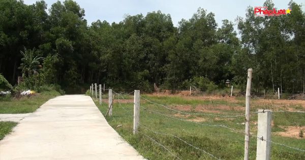 Quảng Nam: Tự ý mở đường nhằm mục đích “Dân sinh” hay “Phân lô bán nền”?
