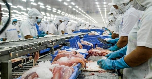 EU là đối tác thương mại hàng đầu của Việt Nam