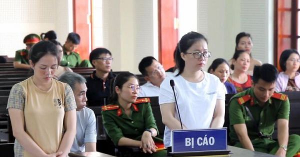 Nghệ An: Trả hồ sơ vụ cán bộ ngân hàng cấu kết khách hàng lừa đảo