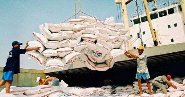 24 thương nhân không xuất khẩu gạo trong suốt 18 tháng