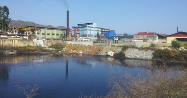 Xử phạt hơn 4 tỷ đồng Công ty Cổ phần Mía đường La Ngà tại Đồng Nai