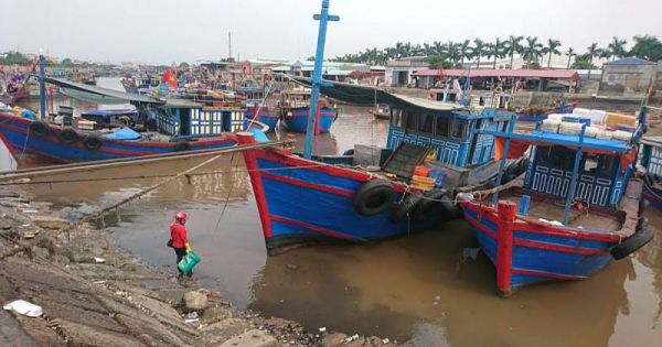 Đề xuất đầu tư dự án sửa chữa, nâng cấp cảng cá Ngọc Hải tại Hải Phòng