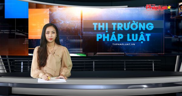 Bản tin Thị trường Pháp luật ngày 11-10-2020