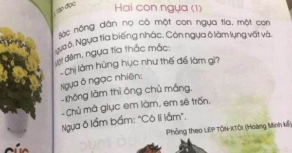 Bộ GD-ĐT đề nghị Hội đồng thẩm định rà soát sách giáo khoa tiếng Việt lớp 1