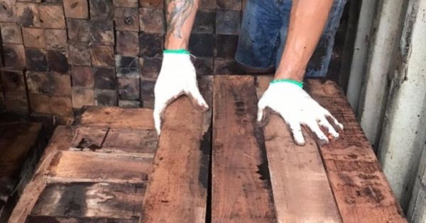 60 container gỗ giáng hương trị giá hơn 20 tỷ đồng bị “bỏ quên” tại cảng Cát Lái