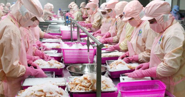 Cấp 20.680 bộ giấy chứng nhận xuất xứ hàng hóa đi EU