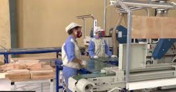 Không đạt được mục tiêu 1 triệu doanh nghiệp hoạt động năm 2020