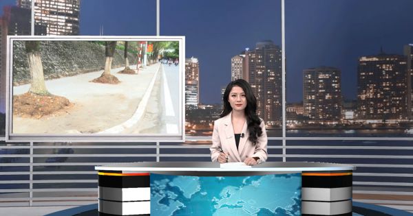 Lào Cai: Có hay không Ban Quản lý dự án thành phố làm sai quy trình?