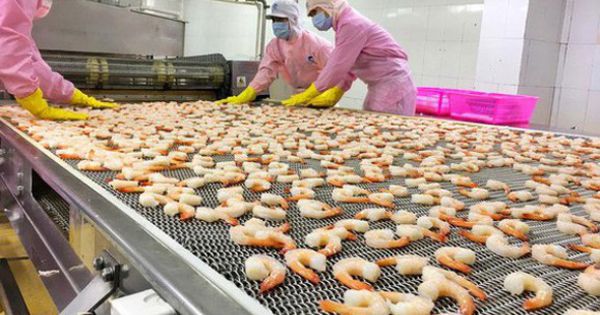 Minh Phú kháng cáo Hoa Kỳ vì bị áp thuế đối với tôm