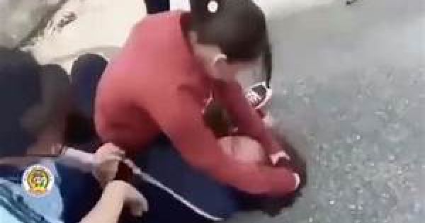 Sở Giáo dục và Đào tạo Long An chỉ đạo làm rõ sự việc 2 nữ sinh lớp 8 bị bạn học đánh hội đồng