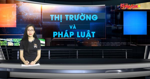 Bản tin Thị trường Pháp luật ngày 25 -10-2020