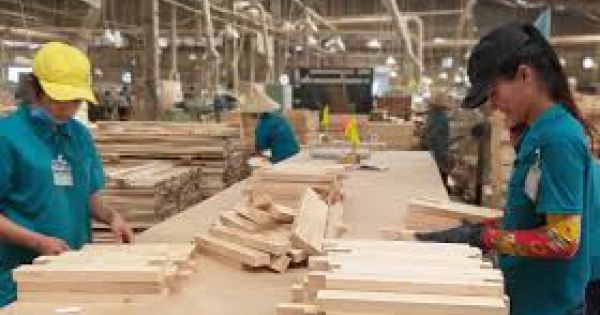 Kiểm tra, xử lý phản ánh về ngành gỗ có nguy cơ mất thị trường