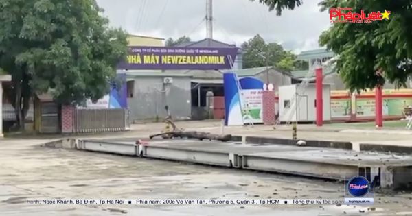 Có hay không việc sữa NewZealand, tổ chức tour du lịch không phép, “ép” khách mua hàng của nhà máy “ảo”?